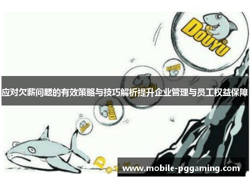 应对欠薪问题的有效策略与技巧解析提升企业管理与员工权益保障